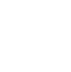 Ville de Paris